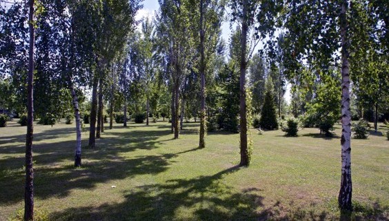 botanicus_craft_center_and_herb_garden_4